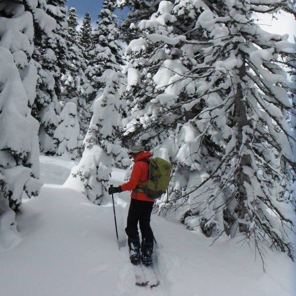 Meet your Posher, April